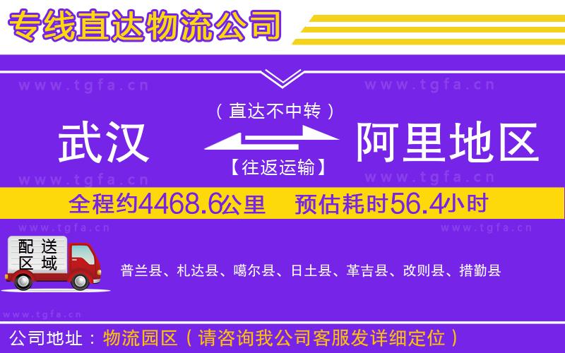 武漢到阿里地區(qū)物流公司