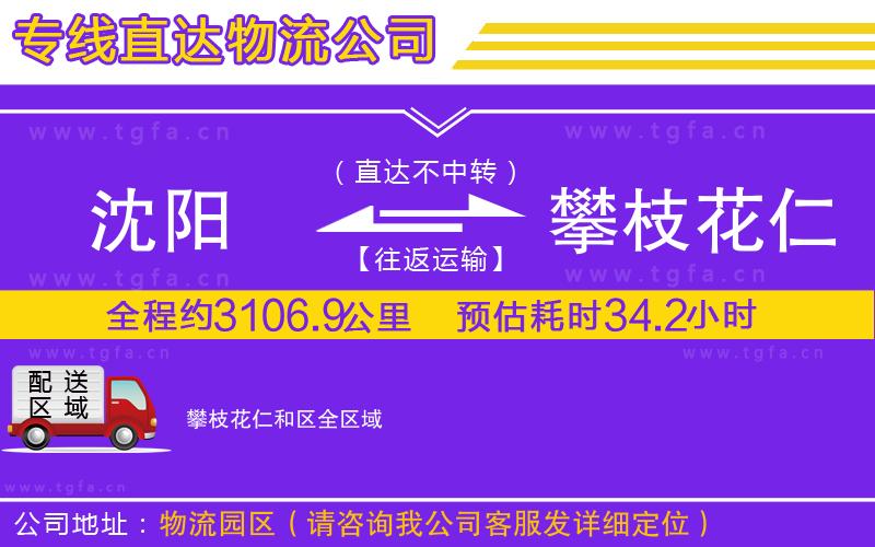沈陽(yáng)到攀枝花仁和區(qū)物流專線