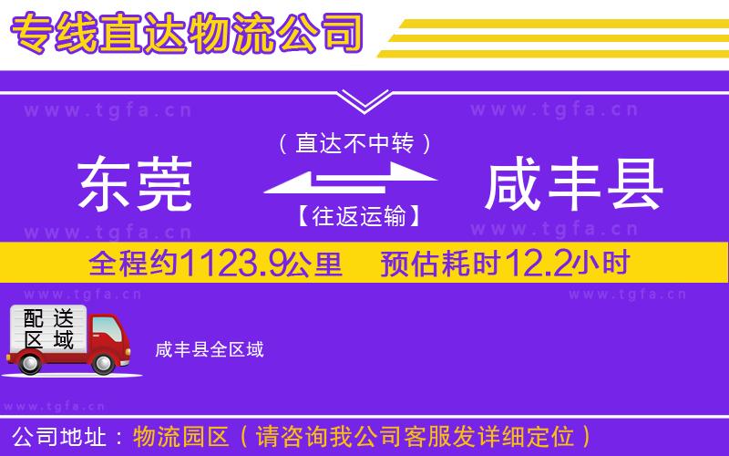 東莞到咸豐縣物流公司