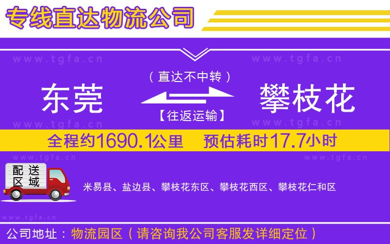 東莞到攀枝花物流公司