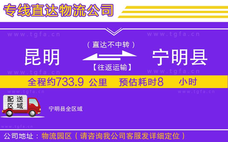 昆明到寧明縣物流公司